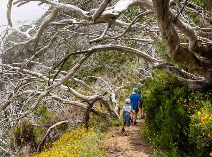 Trekking 