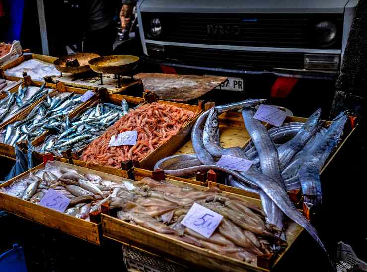 Mercato del pesce 