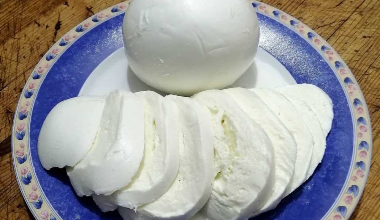 Mozzarella di bufala 