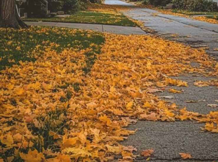 autunno-bello-lago-salernosera-fontig