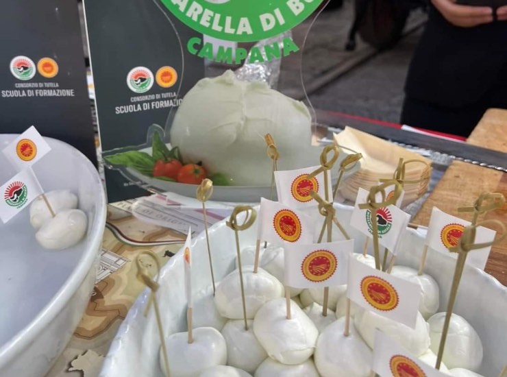 Eruzioni del gusto mozzarella