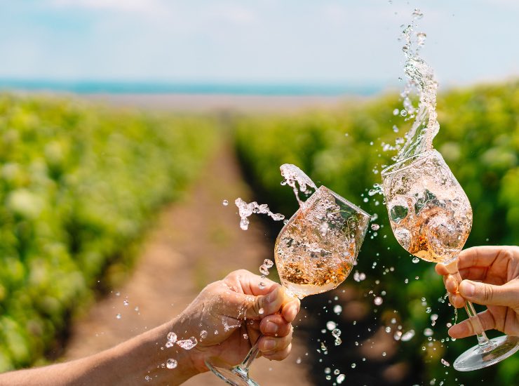 Calici di vino e la vigna 