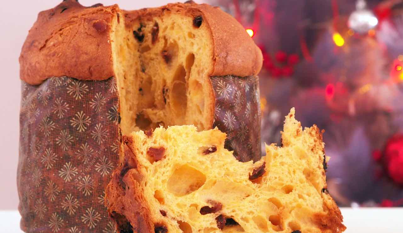 Panettone 