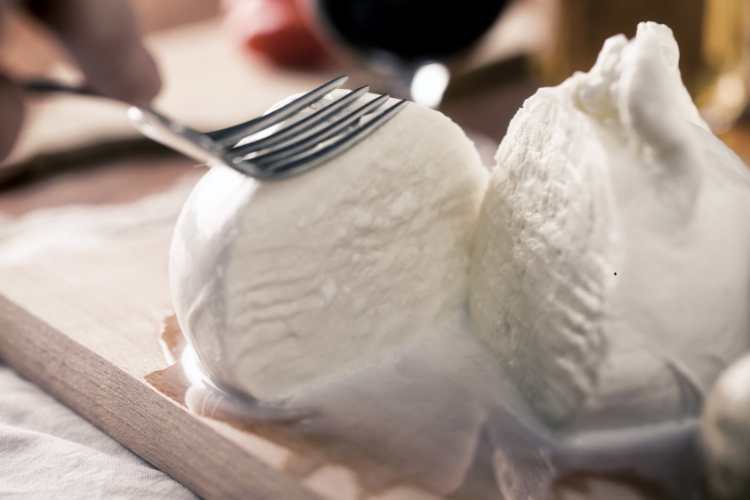 Mozzarella di bufala - fonte_Canva - salernosera.it