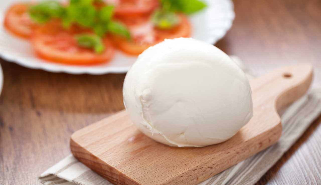 Mozzarella di bufala - fonte_Canva - salernosera.it