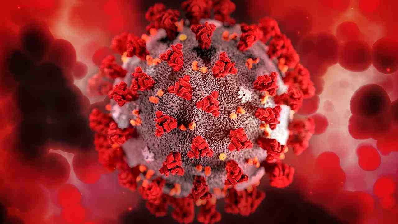 Coronavirus